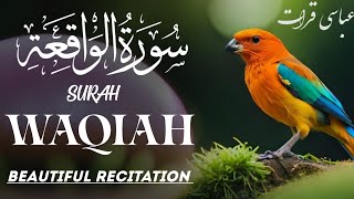 Surah Al Waqiah سورة الواقعةsurah waqiah with urdu translationsurah waqiah beautiful voice [upl. by Neelasor]