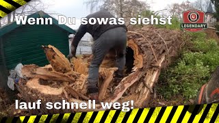 Wenn du diesen Baum siehstLauf schnell weg [upl. by Hobie]