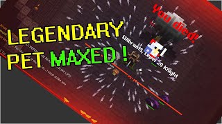 1st legendary pet maxed  EP 29  0 To Divine Pet  RotMG [upl. by Ailelc]