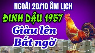 Ngoài 2010 âm lịch Tử vi Đinh Dậu 1957 đón vận may đỉnh cao tiền tài vượng phát bất ngờ [upl. by Labotsirhc71]