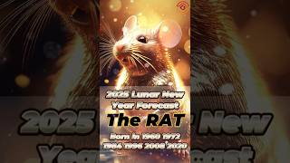 2025 Chinese Zodiac Forecast  RAT [upl. by Aretse]