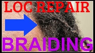 BRAID TECHNIQUE FOR DREADLOCKS  HOW TO REPAIR LOCS BY BRAIDING NEW GROWTH [upl. by Service]