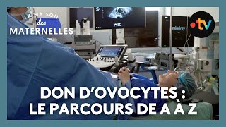 Don dovocytes  le parcours de A à Z – La maison des Maternelles LMDM [upl. by Atiras340]