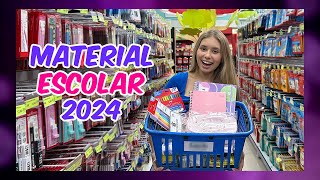 COMPRANDO MEU MATERIAL ESCOLAR 2024  Luiza Vinco [upl. by Yv984]