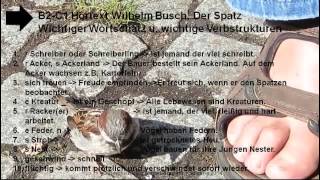 B2C1 Wortschatz uStrukturen S01 zu WBuschs der Spatz [upl. by Aleydis898]