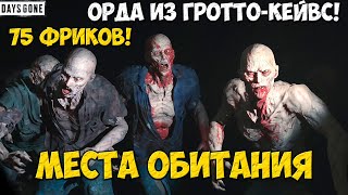 75 Фриков Орда из ГроттоКейвсGrotto Caves Horde daysgone horde grootocaves жизньпосле [upl. by Rome]