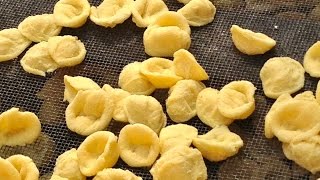 How to Make Orecchiette  Pasta Grannies [upl. by Adlar]