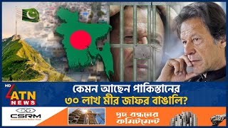 কেমন আছেন পাকিস্তানের ৩০ লাখ মীর জাফর বাঙালি  Pakistan  ATN News [upl. by Sabrina]