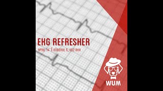 EKG Refresher  WUM Wiener Unabhängige Medizinstudierende [upl. by Enelam]