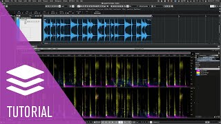 Beat Deconstruction Unmixing Components  SpectraLayers 8 Tutorials [upl. by Karli153]