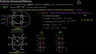 Heme and its Metabolism Porphyrins  Structure and Relevance free sample [upl. by Novahs265]