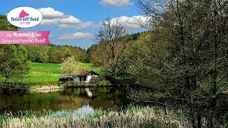 Auf Reisen im Thüringer Wald mit Hund  Reiseziel Ferienhaus und Ferienwohnung [upl. by Horowitz]