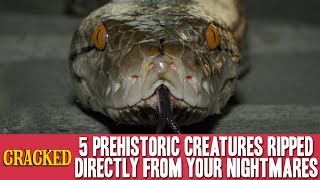 5 Prehistoric Creatures Ripped Directly from Your Nightmares [upl. by Adyl]