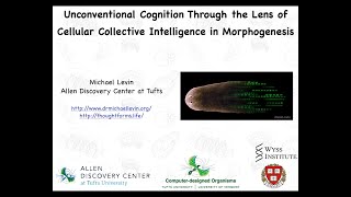 quotUnconventional Cognition Through the Lens of Cellular Collective Intelligence in Morphogenesisquot [upl. by Remled]