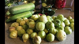 Other Uses for Tomatillos [upl. by Ijies]