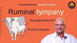 Vet Reveals LifeSaving Treatment For Acute Ruminal Tympany [upl. by Louise]