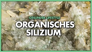 Organisches Silizium – eines der häufigsten Elemente der Erde und trotzdem Mangelerscheinungen [upl. by Hepsoj]