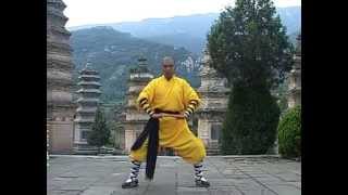 少林立勢八段錦 Shaolin Standing Eight Section Silk Brocade [upl. by Ablem]