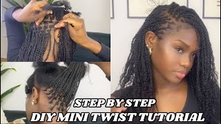 Mini Twist Tutorial With Extenstions  STEP BY STEP INSTALLATION FOR BEGINNERS Ft Ywigs Hair [upl. by Athalia982]