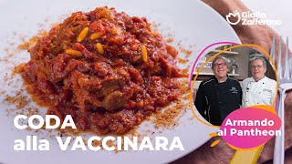 CODA alla VACCINARA  la RICETTA di ARMANDO AL PANTHEON🤤😍 [upl. by Nrehtak937]