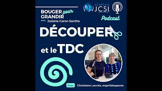 63 Apprendre à découper avec un TDC et Christiane Lacroix ✂️ [upl. by Atiuqa896]