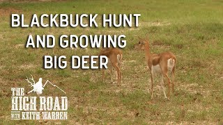 Blackbuck Hunting amp Deer Management Tips  The High Road with Keith Warren [upl. by Gui]