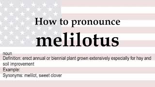 How to pronounce melilotus  meaning [upl. by Annahgiel949]