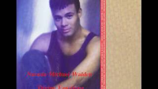 Narada Michael Walden  Divine Emotions Extended SCCV [upl. by Lechner366]