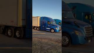 freightliner cascadia californiausa usa canada viralvideo pb08wale 🇺🇸✈️🇨🇦 [upl. by Ogir]