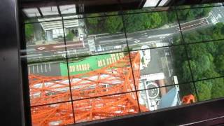 Tokyo Tower glass floor in Japan  150 meters high [upl. by Radley]