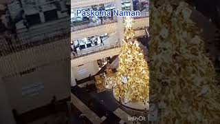 Pasko na sa Pinas christmastree shorts [upl. by Nyret985]