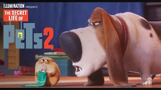 The Secret Life Of Pets 2  Now on 4K Bluray DVD amp Digital  Illumination [upl. by Helena256]