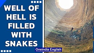 Yemen’s Well of Hell is filled with snakes reveals Omani cavers  Oneindia News [upl. by Anirahtak]