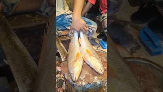 Amazing Poa Fish Cutting Skills In Bangladesh Fish Market By Expert Cutter shorts [upl. by Orihakat]