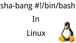 Bash Scripting in Linux Part 1 [upl. by Lachman]