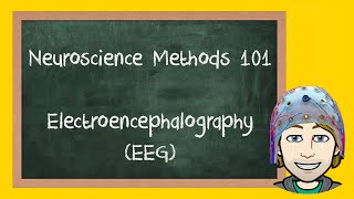 Electroencephalography EEG Explained  Neuroscience Methods 101 [upl. by Ebbarta]