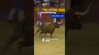 torero music travel viralvideo video shorts short funny animaux viralshorts viralvideos [upl. by Airemahs]