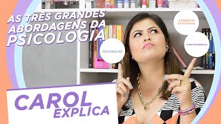 58  Qual a melhor abordagem da Psicologia [upl. by Philpot]