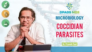 Coccidian Parasites  Parasitology  Toxoplasma Cryptosporidium  Isospora  Dr Pronob DPADS [upl. by Kano774]