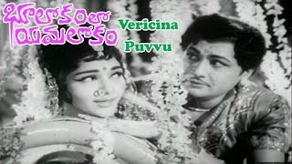 Bhulokamlo Yamalokam Telugu Movie Songs  Vericina Puvvu Song  Kantha Rao  Rajshree [upl. by Nevla]