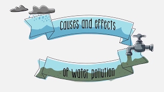 Causes and effects of water pollution  Sustainability  ACCIONA [upl. by Irfan]