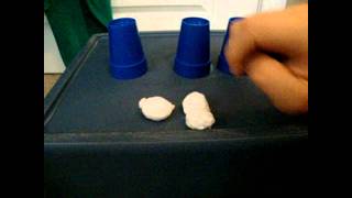 3 cups and balls magic trick revealed [upl. by Imre]