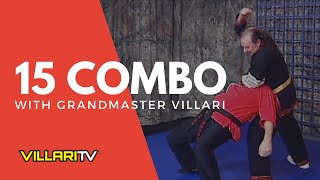 15 Combination with Grandmaster Villari  Shaolin Kempo Karate [upl. by Nyladnar]