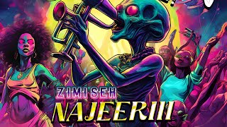 Najeeriii  Zimi Seh Official Audio [upl. by Kinson]