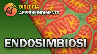 BIOLOGIA  Origine delle prime cellule e Endosimbiosi  Approfondimento [upl. by Pradeep779]