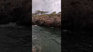 Salto al mar en Cala Beltrán  Mallorca [upl. by Ativahs]