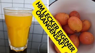 „Frischer Orangensaft selbst gemacht – So einfach gehts“ [upl. by Adyam365]