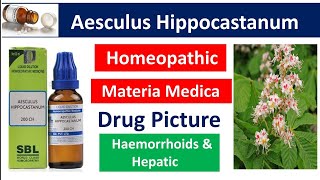 Aesculus Hippocastanum Homeopathic Medicine  Drug Picture  Materia Medica bhms [upl. by Aninep]