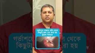 অ্যামনিওসেন্টেসিস কি   Amniocentesis test in pregnancy  Dactar Babu  Ep535 [upl. by Phillada]