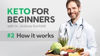 A keto diet for beginners part 2 how it works [upl. by Ayekat21]